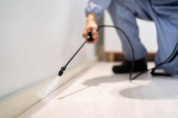 Licensed Termite Control service in Leisure World, MD - Nex Pest Control