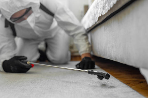 Professional Termite Control technician working in Leisure World, MD
