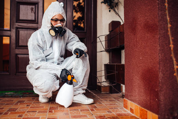 Reliable Termite Control contractor in Leisure World, MD by Nex Pest Control