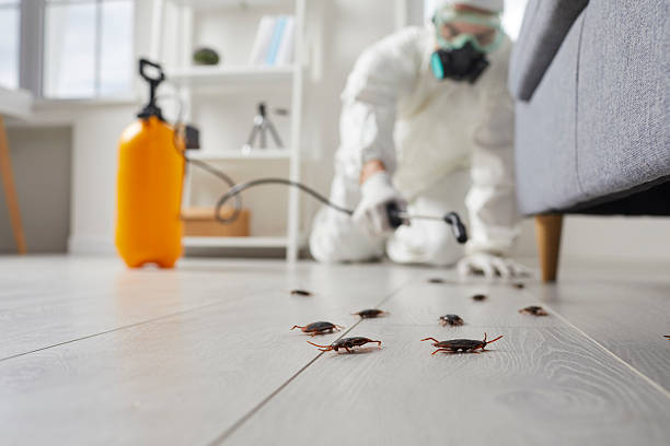 Trusted Termite Control service in Leisure World, MD - Nex Pest Control
