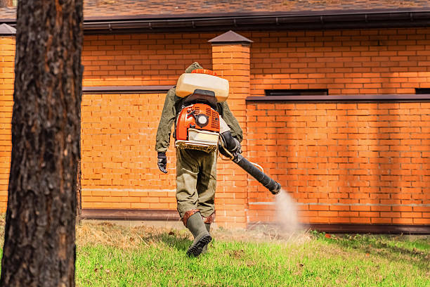 Trusted Rodent Control service in Leisure World, MD - Nex Pest Control